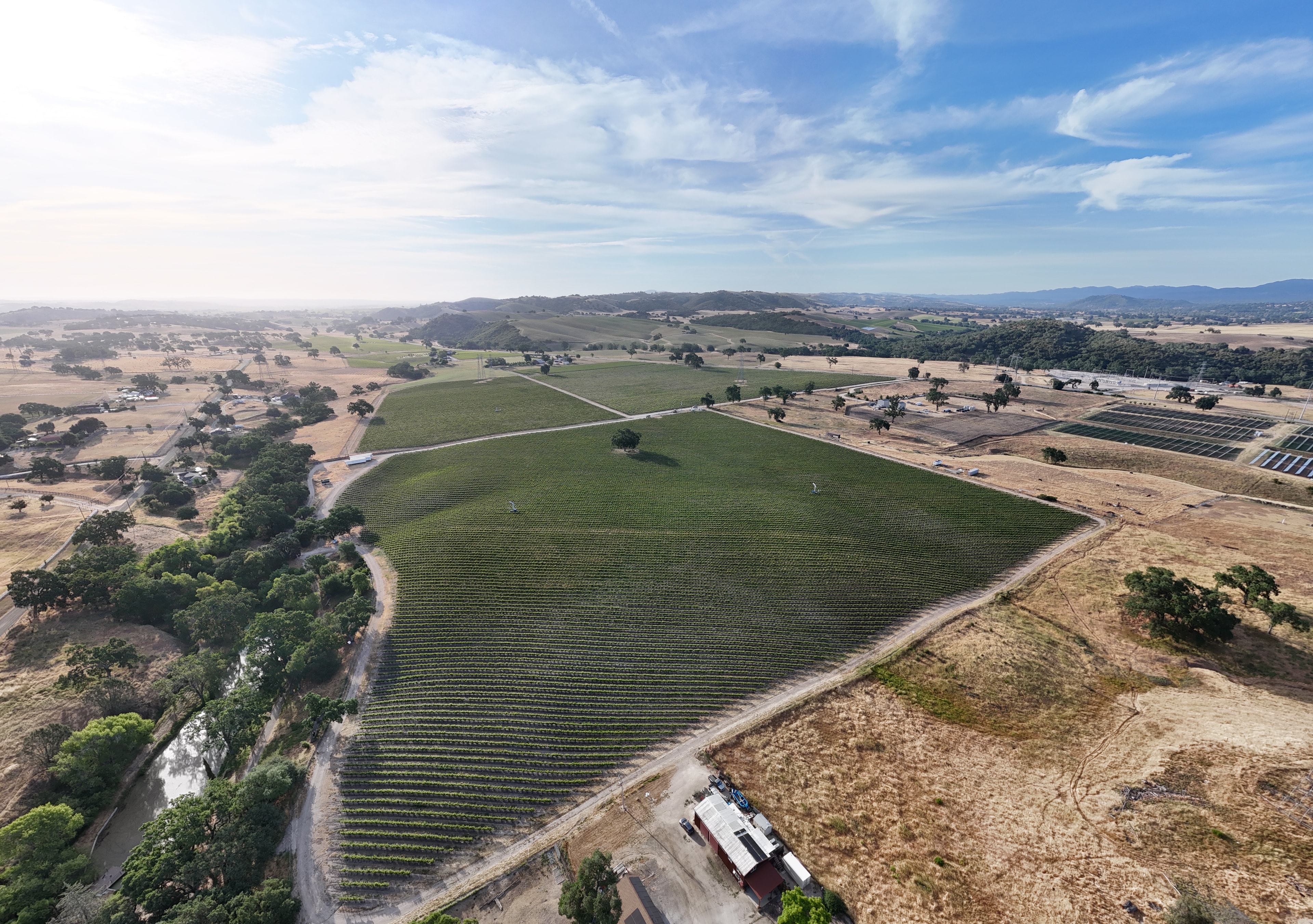 Aerial view of Javadi Wines vineyard in Paso Robles